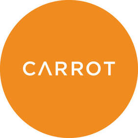 Carrot Birth and Postpartum Insurance