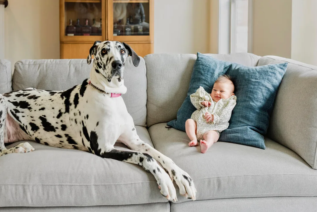 Birth Doula Gallery