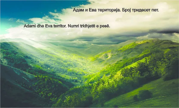 Picture