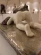 carousel chooser