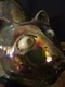 carousel chooser