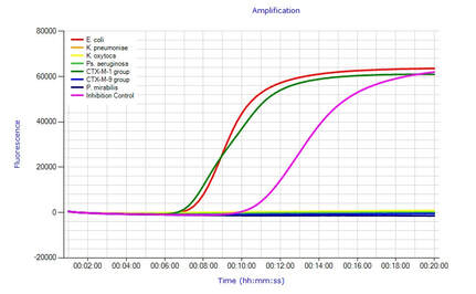 A graph showing the real-time results of amplex eazyplex tests