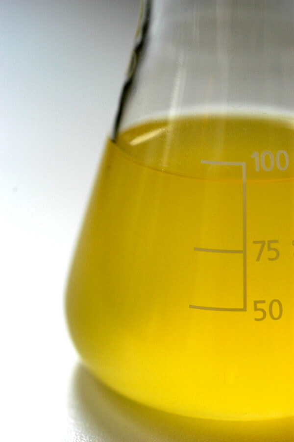 AquaCHROM ECC other coliforms result