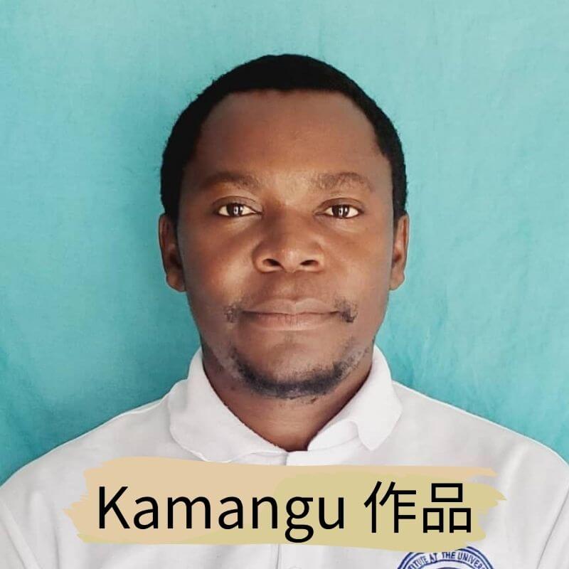 坦尚尼亞畫家Kamangu