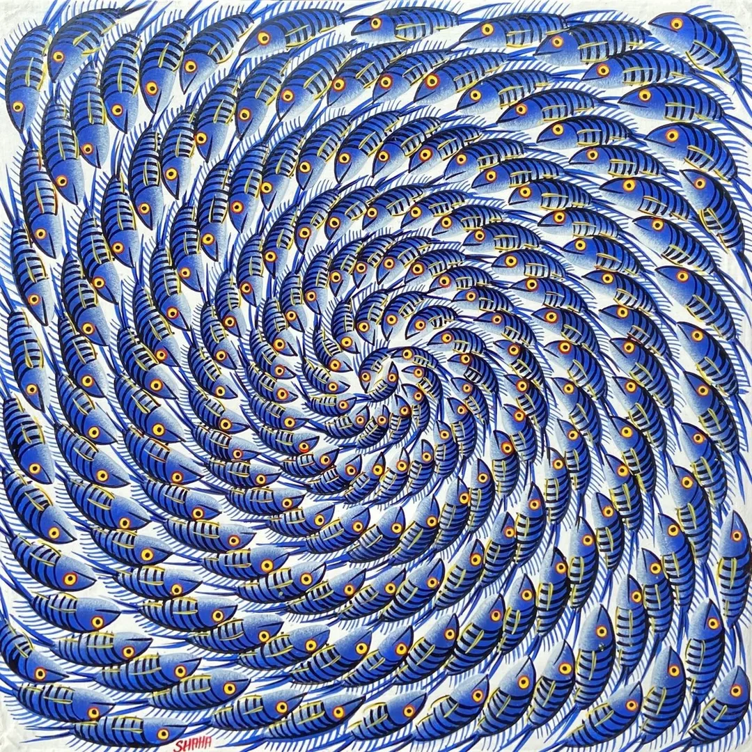 Shaha 藍色漩渦魚