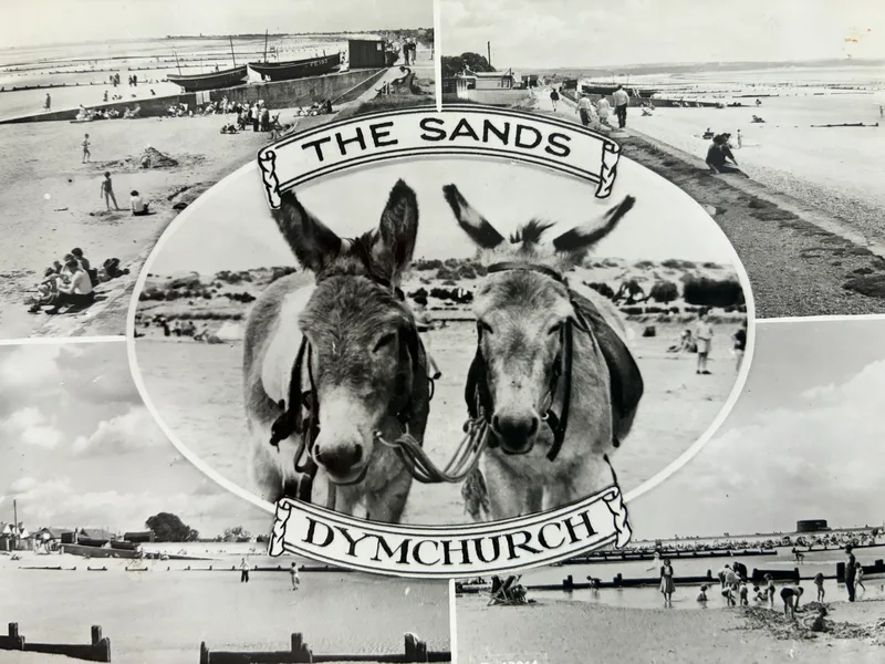 THE POSTCARD 3 - FULL DAY - MON 2.11.26 - 10AM-3PM