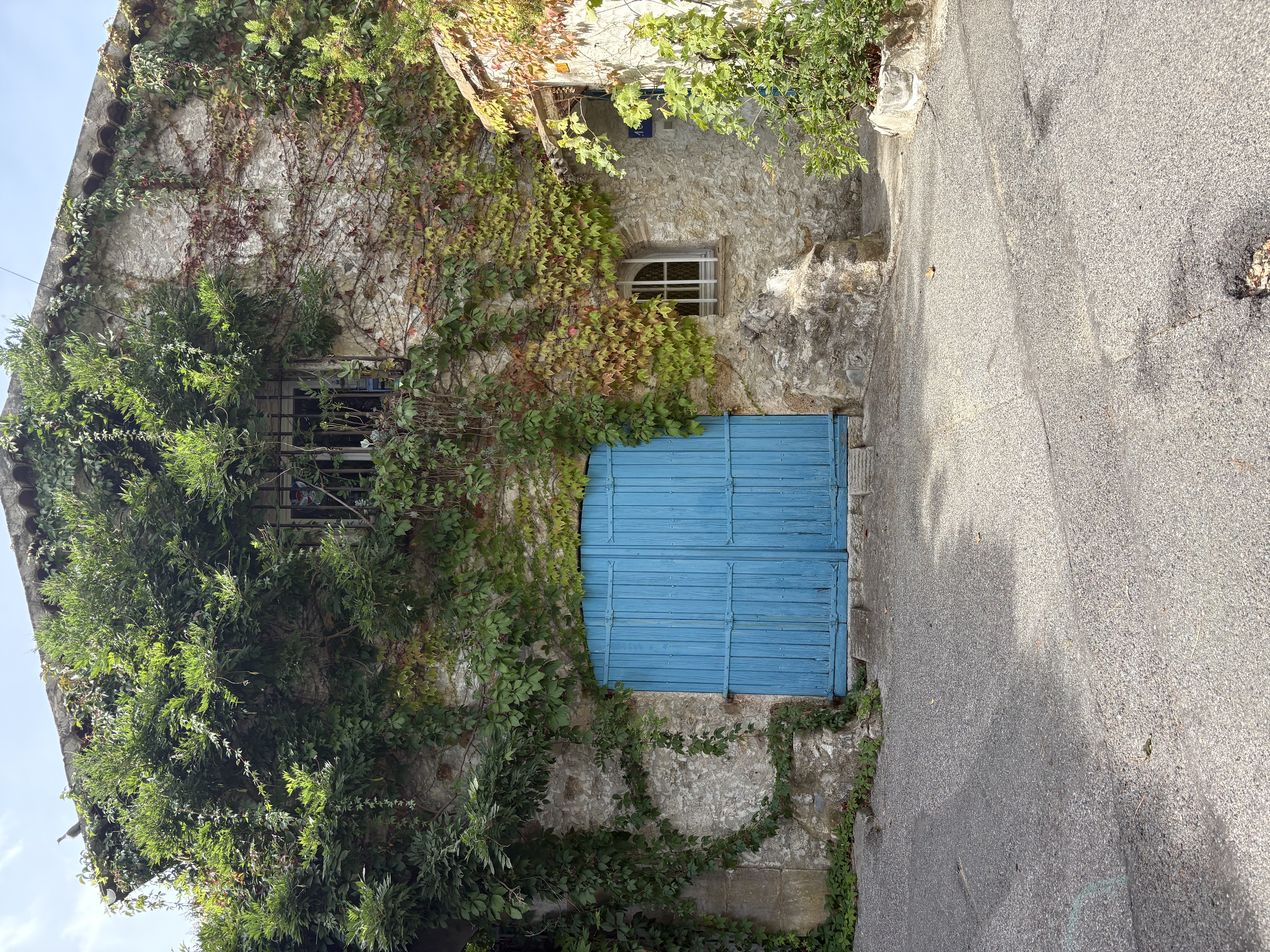 Image description