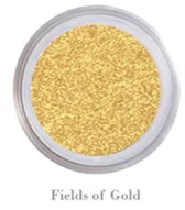 sparkly gold eye shadow nude bare naked eye shadow mineral eyeshadow mattify cosmetics long lasting eye makeup with built in primer holiday eyeshadow 