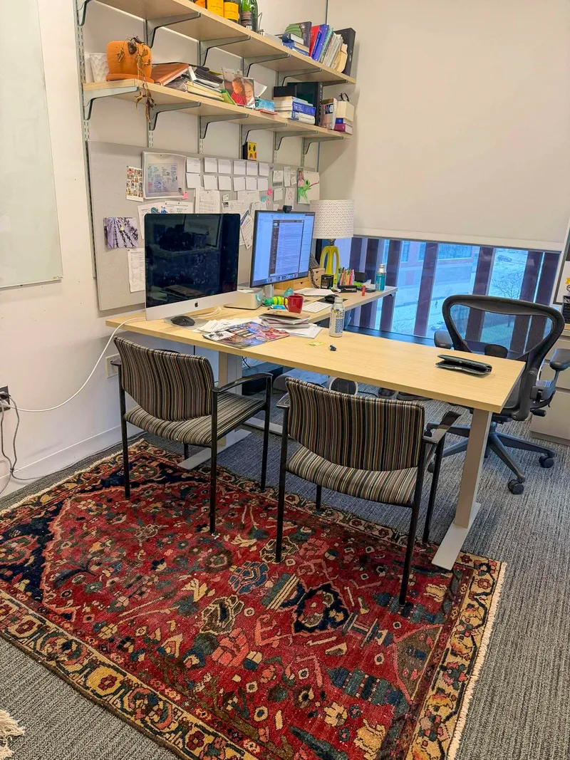 Office with rug on floor.