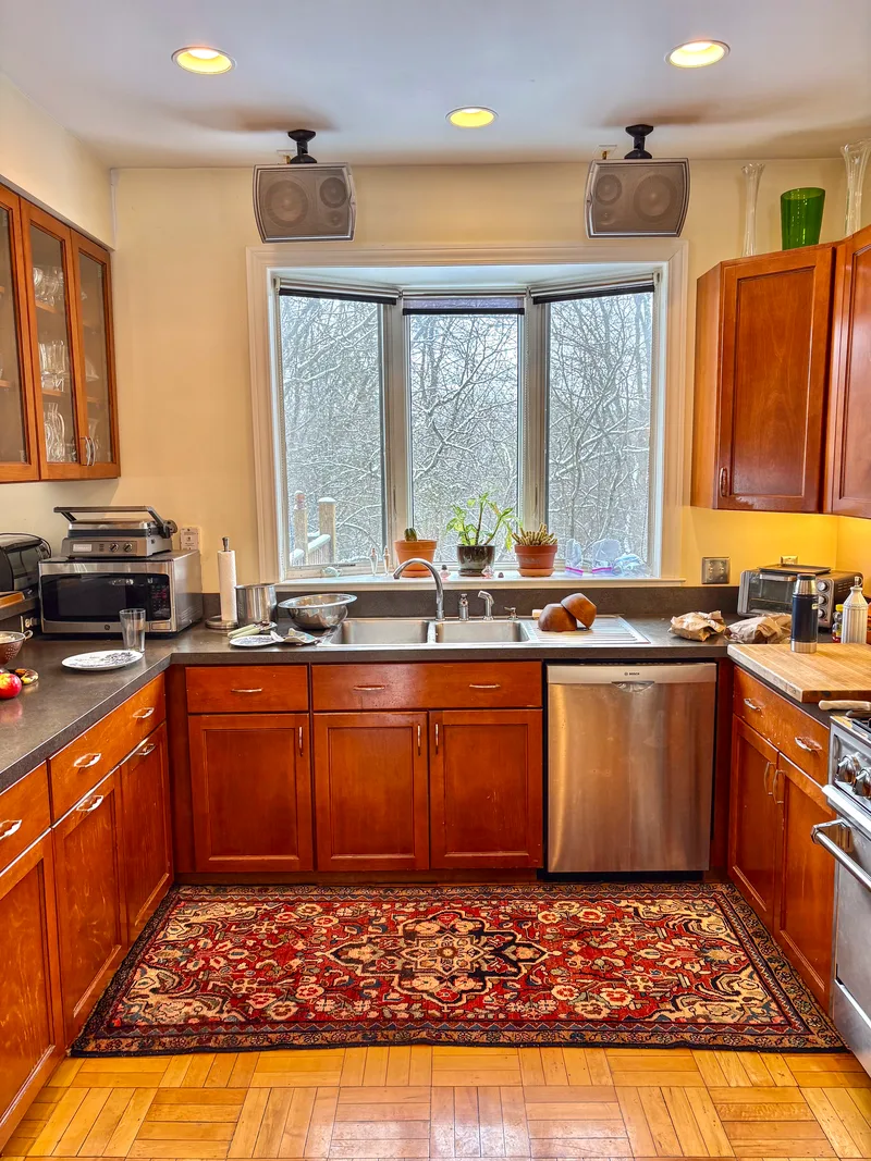 Rug in kitchen.