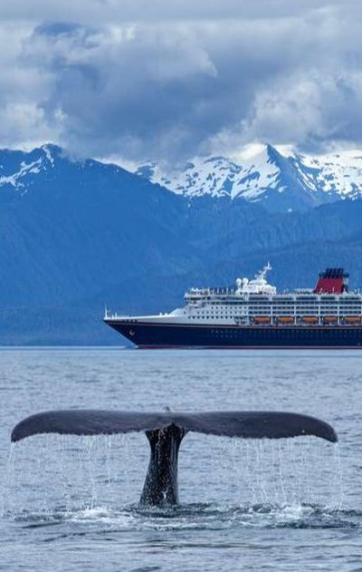 expedition cruise Alaska with mountains and a whale tail