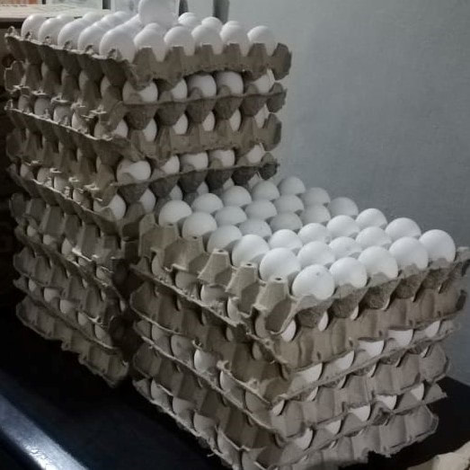 Eggs 1 tray of 30