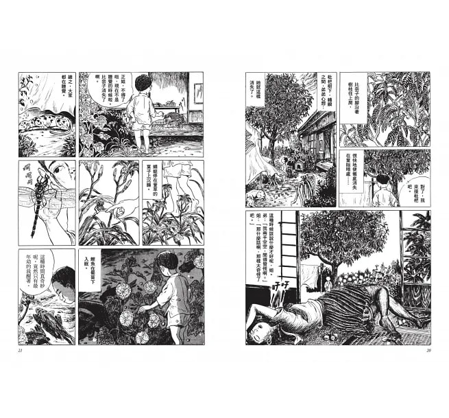 圖片