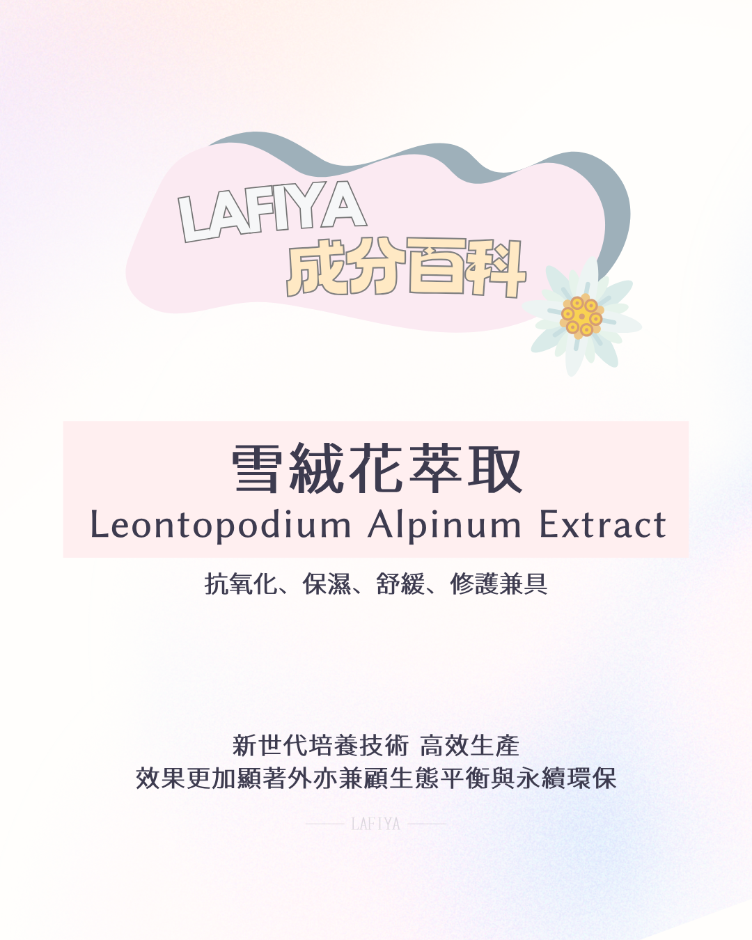 雪絨花萃取物（Leontopodium Alpinum Extract）