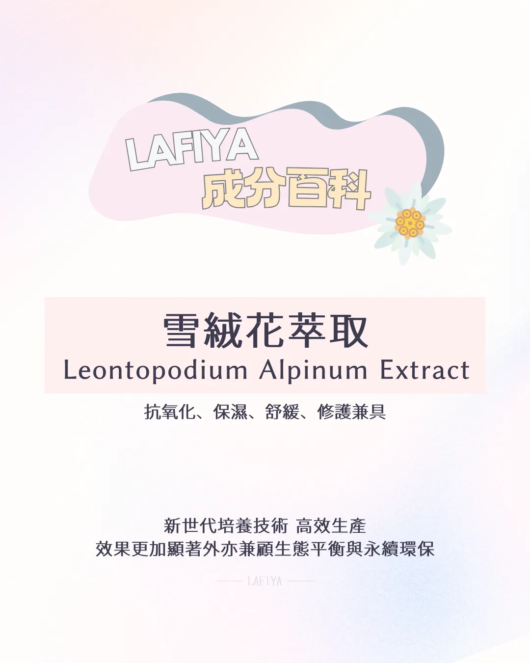 汨之光精華液成分雪絨花萃取功能說明
