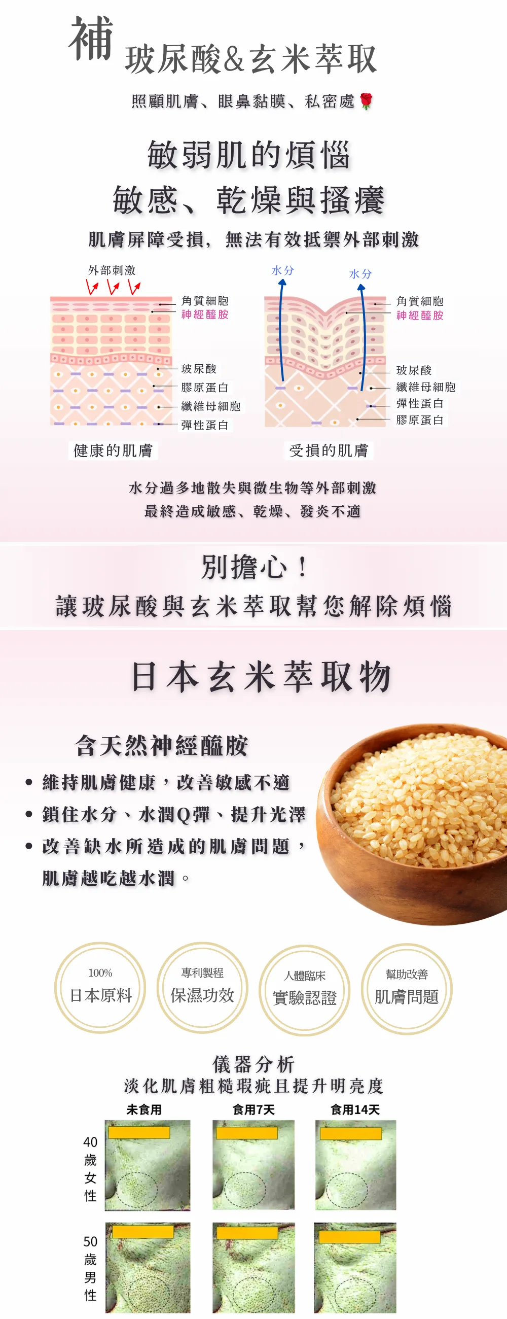 圖片-玻尿酸與神經醯胺：建構肌膚屏障、超強保水與消炎功能，促進身體自主產生更多玻尿酸，使肌膚Q彈水潤