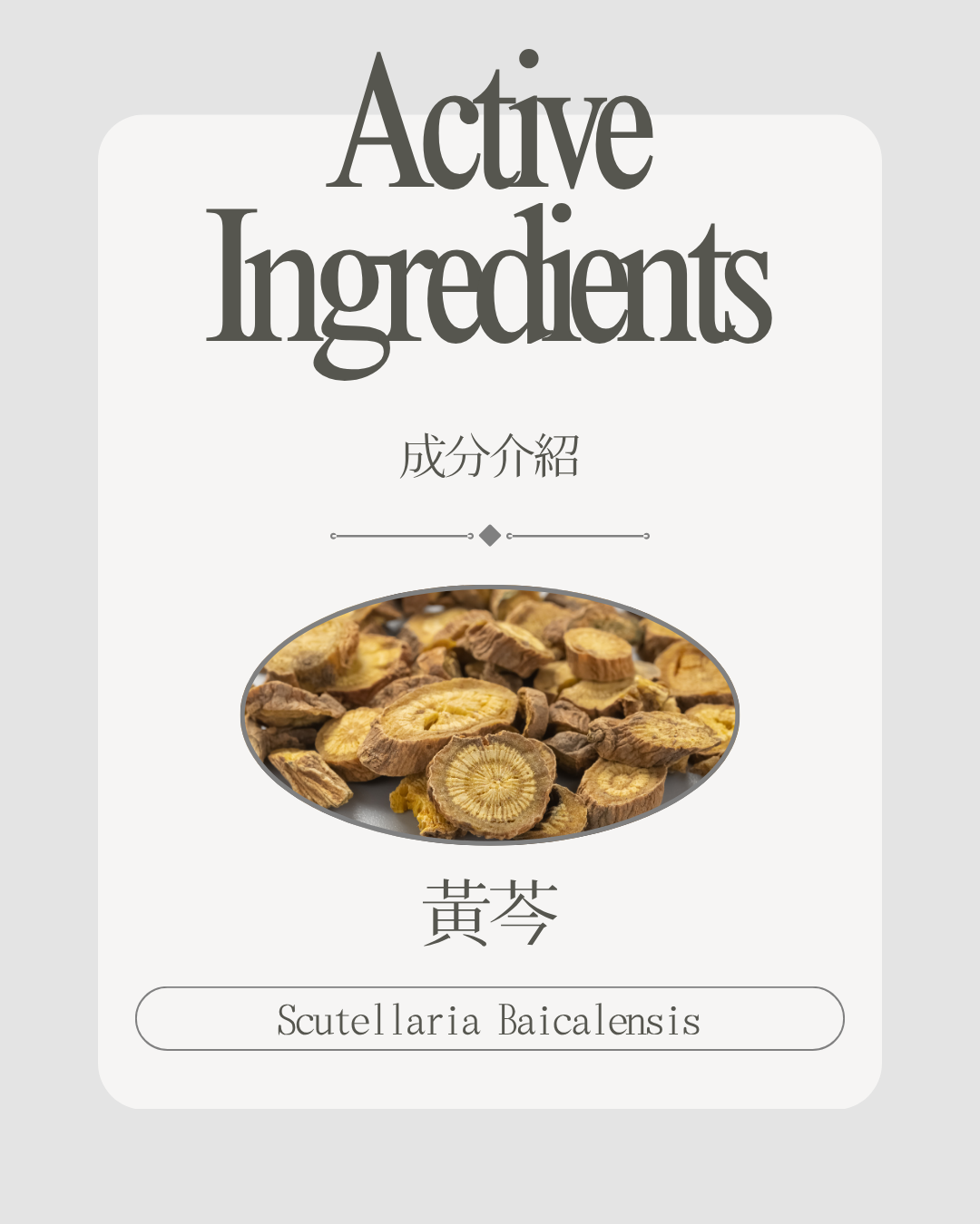 黃芩根萃取（Scutellaria Baicalensis Root Extract）
