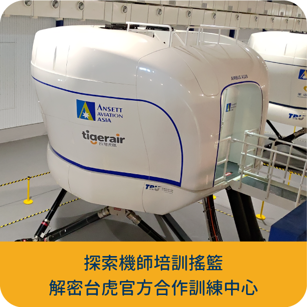 Flight simulator to train real pilots