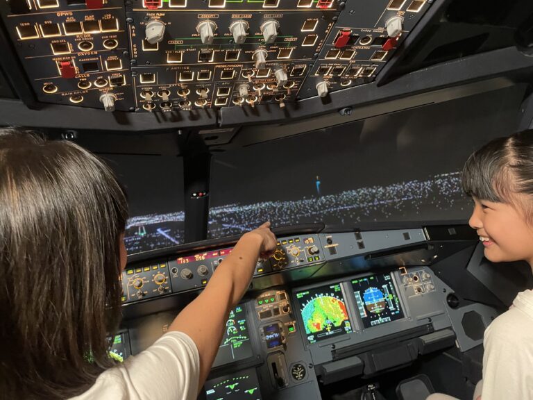 access to A320 Simulator with guidance of active pilot