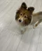 carousel chooser