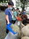 carousel chooser
