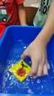 carousel chooser