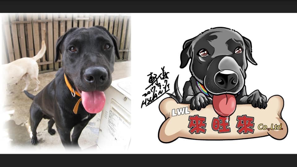 圖片