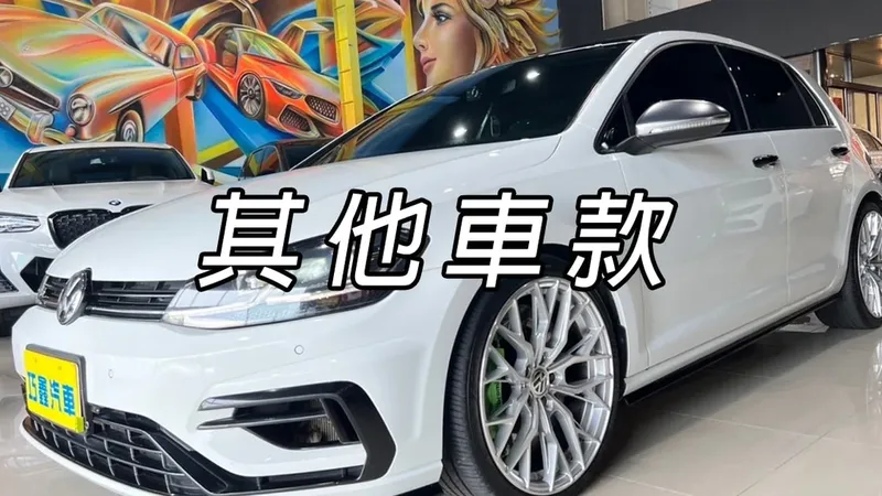 其他車款