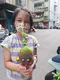 carousel chooser