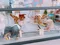 carousel chooser