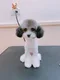 carousel chooser