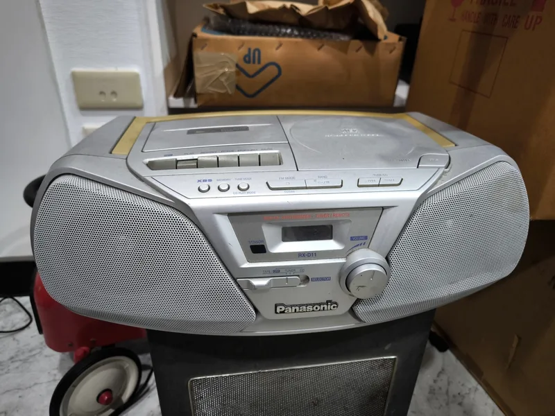 國際牌RX-D11