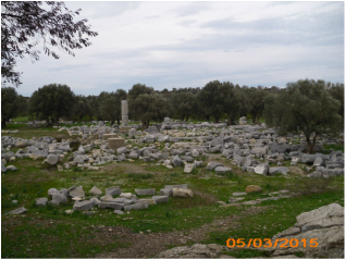 Teos