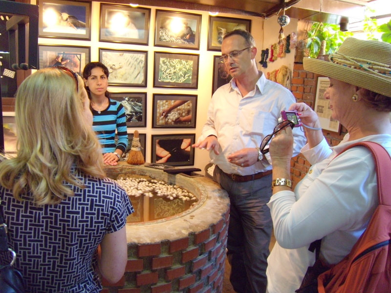 Private Ephesus Tours for Odyssey of the Seas Passengers