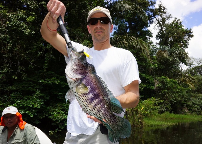 Big Rainbow Bass caught in Nicaragua on the Bomber Fat Free Shad