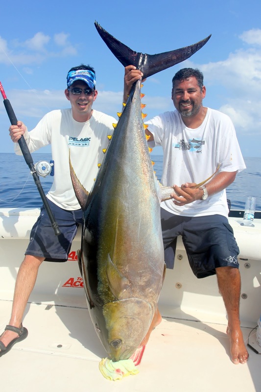 Big Yellowfin Tuna