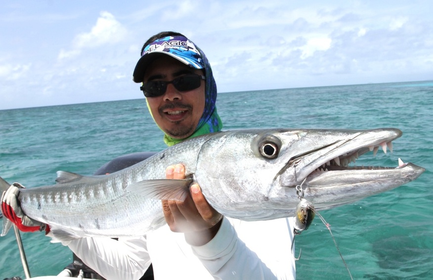 Great Barracuda caught off the Great Barrier Reef, Australia on a sinking Sebile Stick Shad.