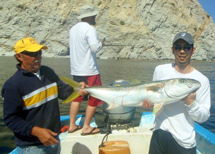 Yellowtail caught on a live mackerel near San Evaristo, Mexico