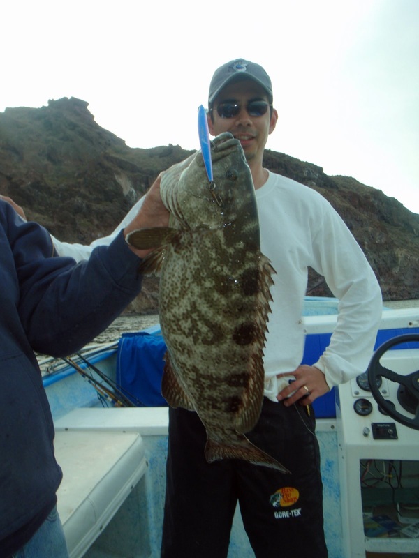 This Leopard Grouper fell for a Pink and Blue Yo Zuri Crystal Minnow in Baja, Mexico