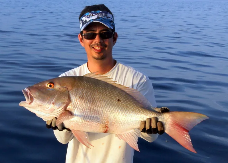 Mutton Snapper