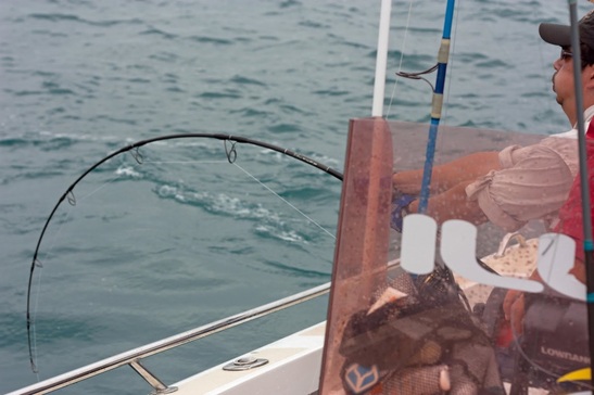 Fighting a fish in New Caledonia