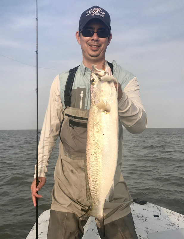 Big Speckled Trout love plastics