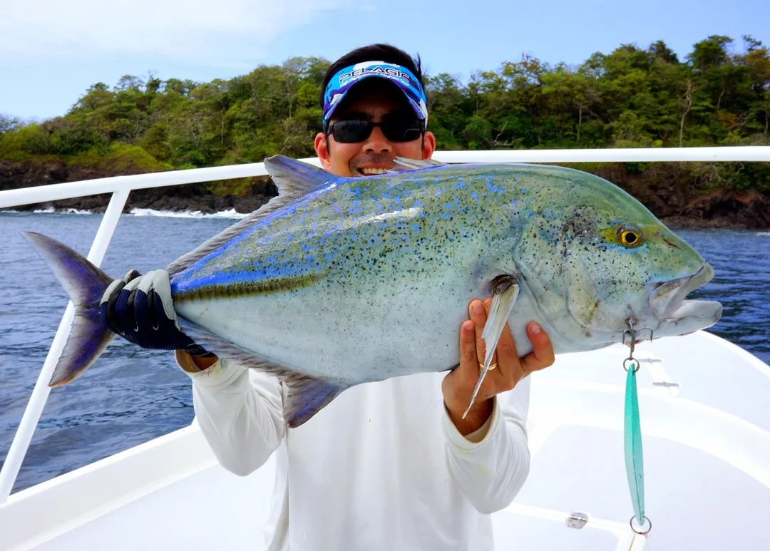 Big Bluefin Trevally
