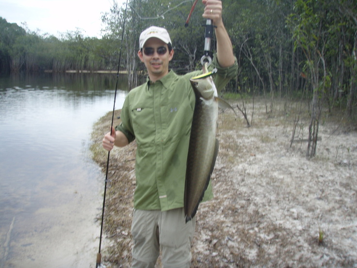 Black Arowana caught from shore in Brazil on a floating Yo-Zuri Crystal Minnow