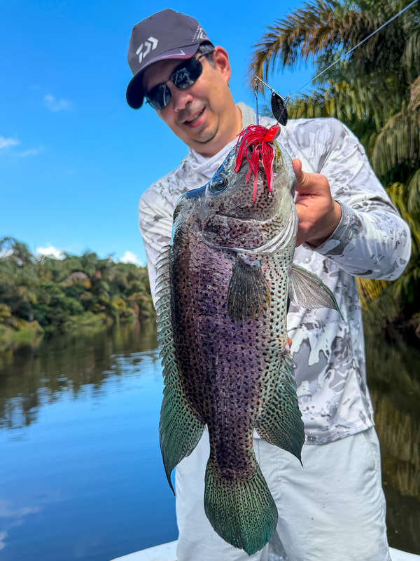 Spinnerbaits have caught a lot of nice fish for me