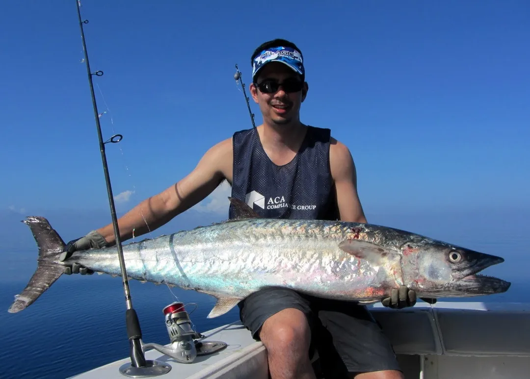 Big Kingfish