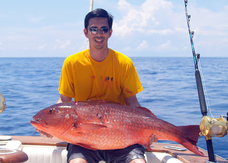 The author's world record-size Mullet Snapper caught in Puerto Vallarta, Mexico