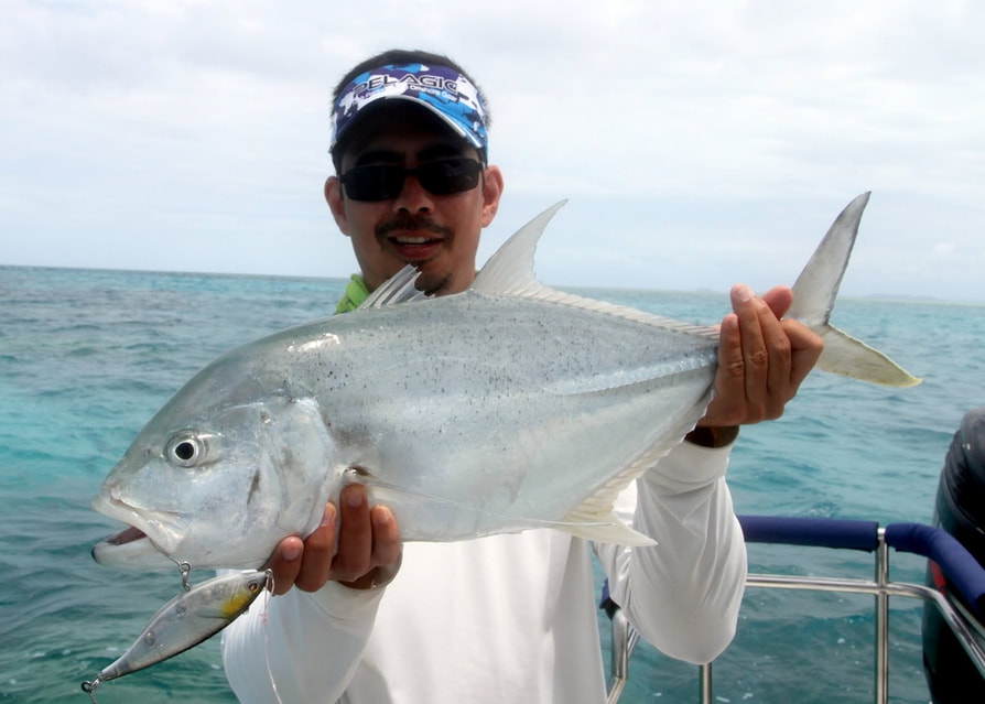 Brassy Trevally caught on the Great Barrier Reef in Australia
