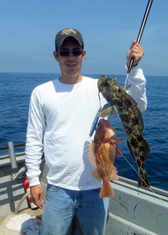 Lingcod and Rockfish double caught on a butterfly jig.  This is not uncommon.