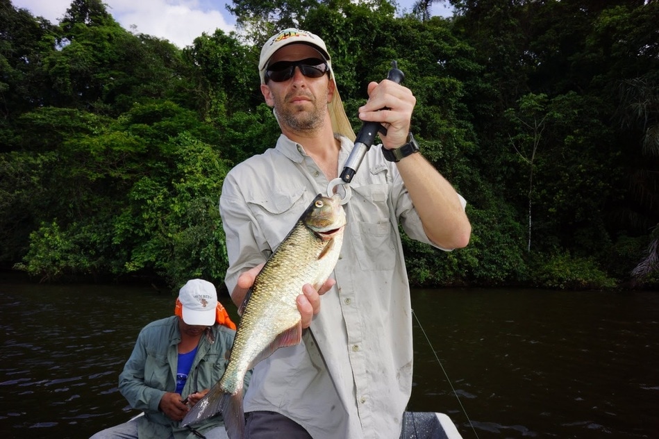 Machaca caught at the Rio Indio Lodge, Nicaragua
